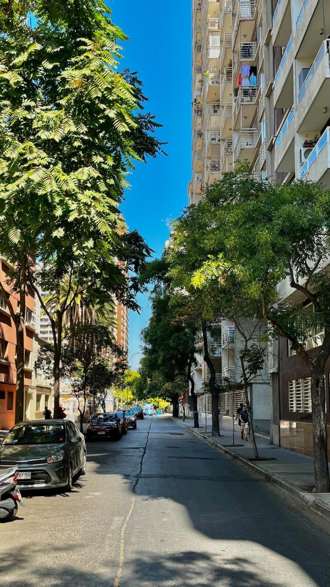 Apartamento Encantador Departamento A Pasos De La Alameda Santiago